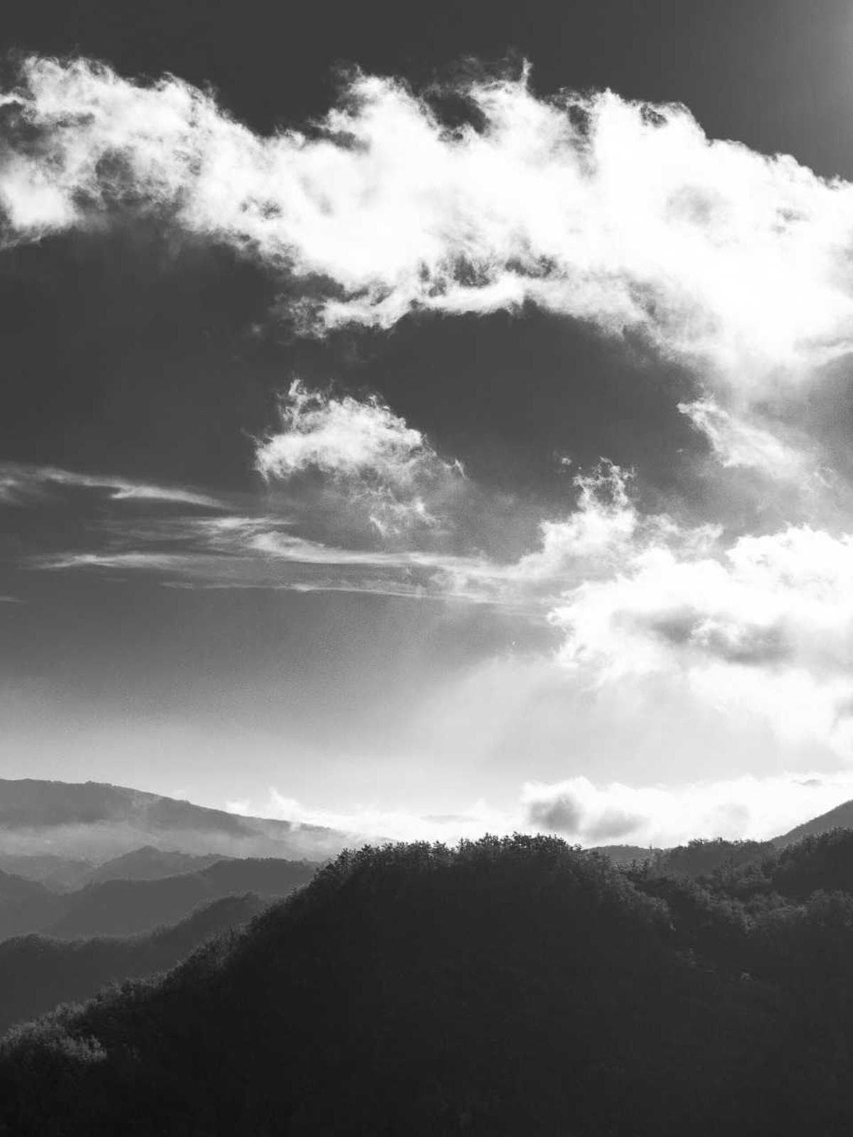 Real Impact Job Fairs